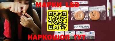 скорость Бердск