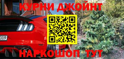 скорость Бердск